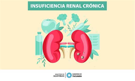 Insuficiencia Renal Crónica 